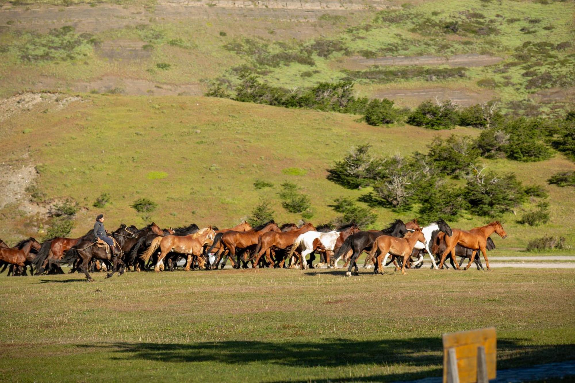 Hotel Las Torres Patagonia Torres del Paine National Park Exterior photo